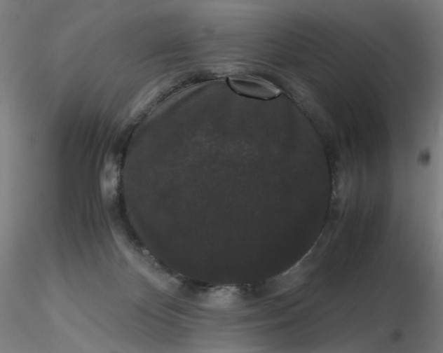 X0000116480124200912231138