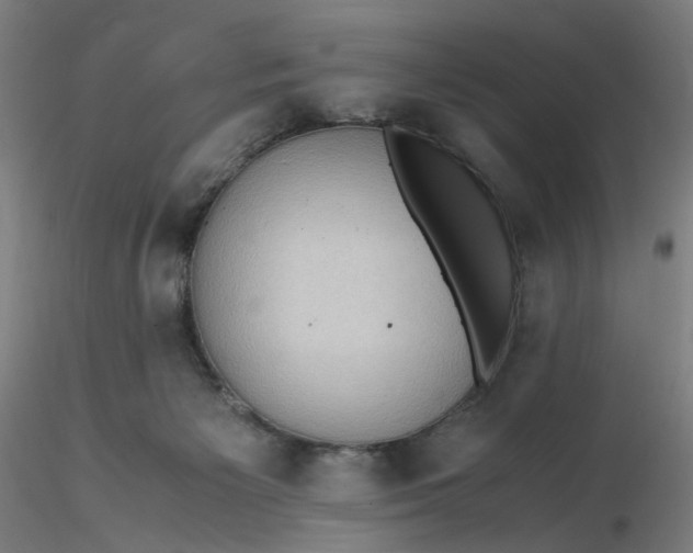 X0000116480125200912231138