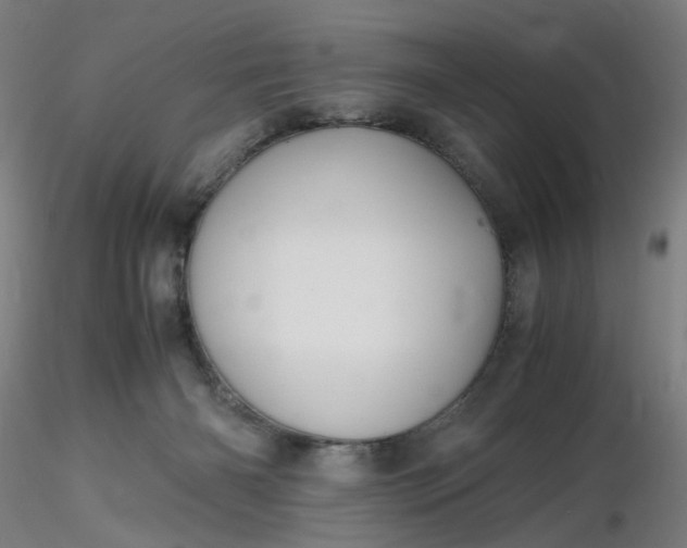 X0000116480126200912231138