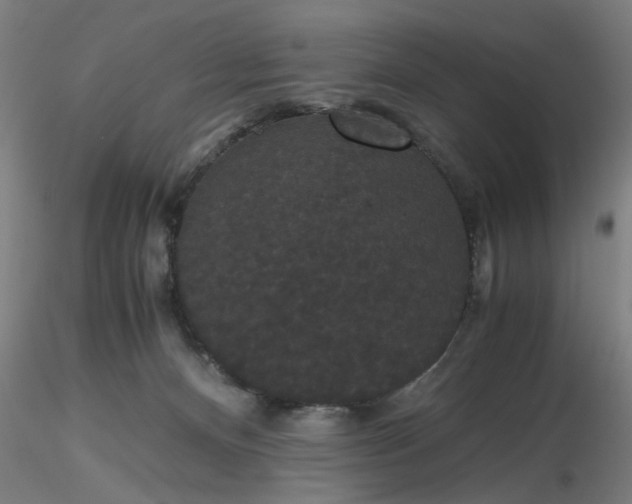 X0000116480128200912231138