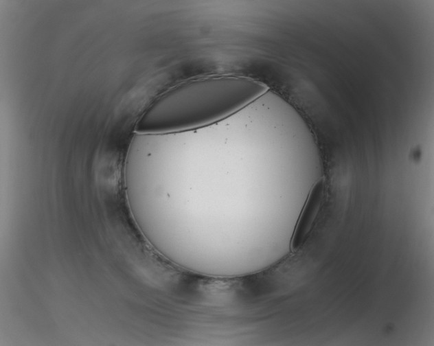 X0000116480129200912231138