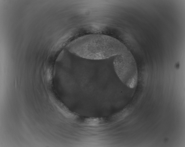 X0000116480131200912231138