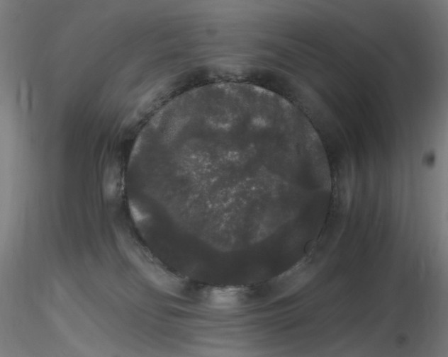 X0000116480134200912231138