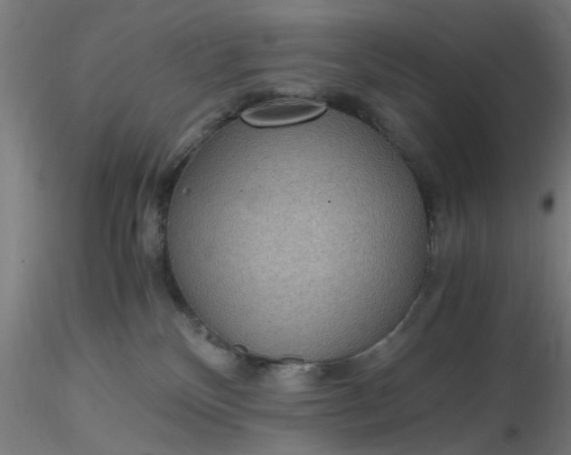 X0000116480136200912231138