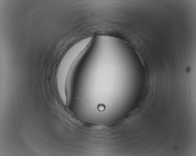 X0000116480137200912231138