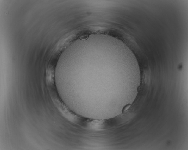 X0000116480138200912231138