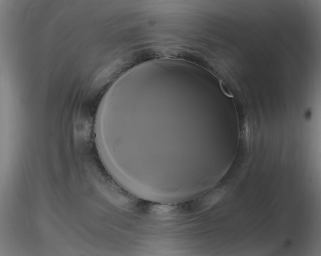 X0000116480139200912231138