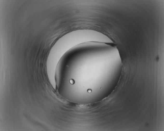 X0000116480141200912231138