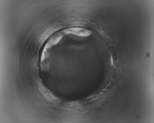 X0000116480146200912231138