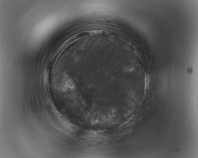 X0000116480147200912231138