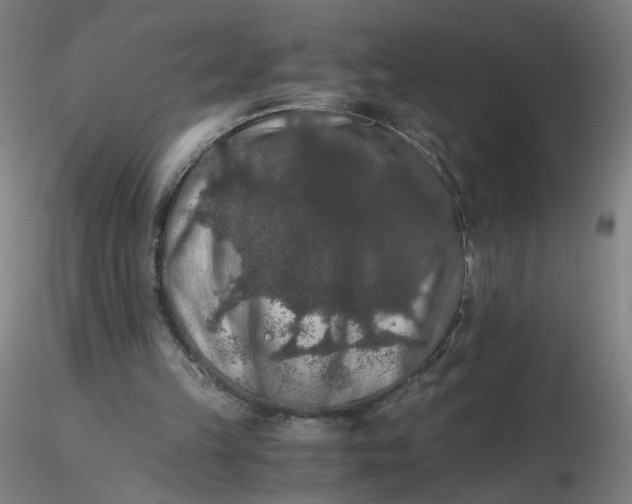 X0000116480149200912231138