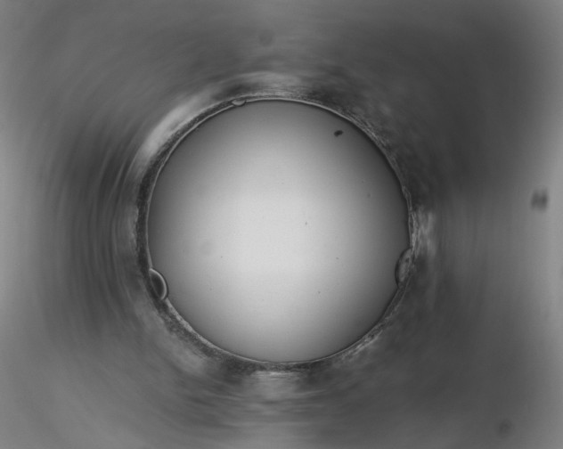 X0000116480150200912231138