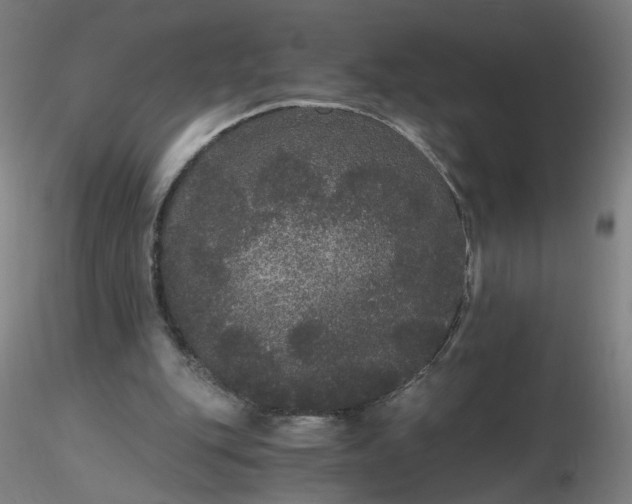 X0000116480151200912231138