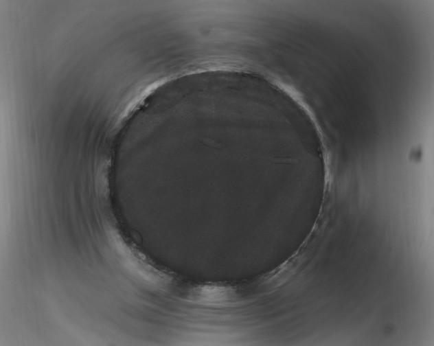 X0000116480154200912231138