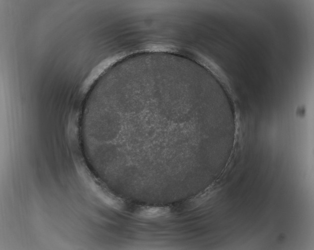 X0000116480155200912231138