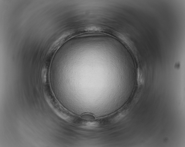 X0000116480157200912231138