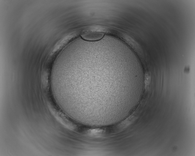 X0000116480158200912231138