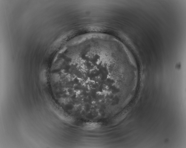 X0000116480161200912231138