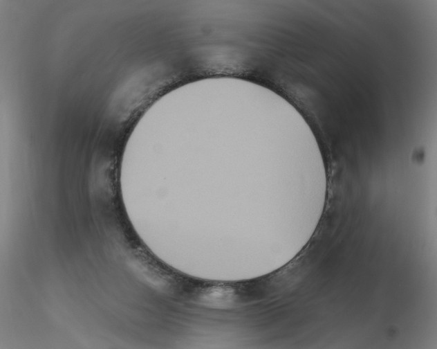 X0000116480162200912231138