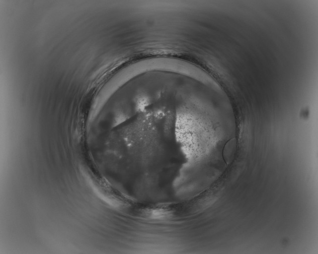 X0000116480165200912231138