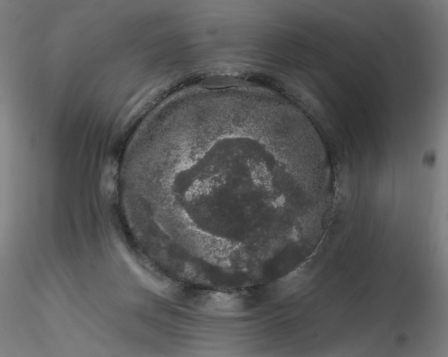 X0000116480166200912231138