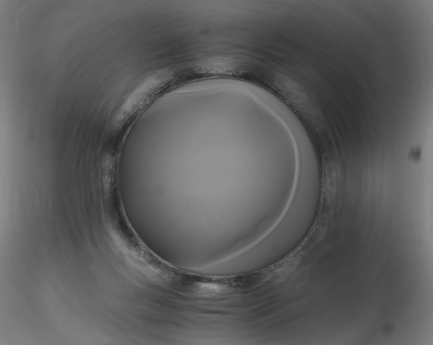 X0000116480167200912231138