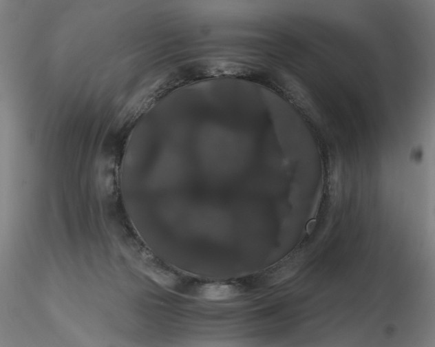 X0000116480169200912231138