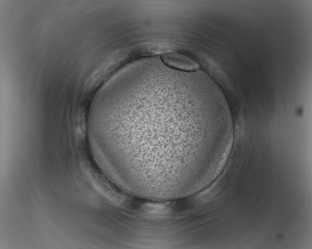 X0000116480170200912231138