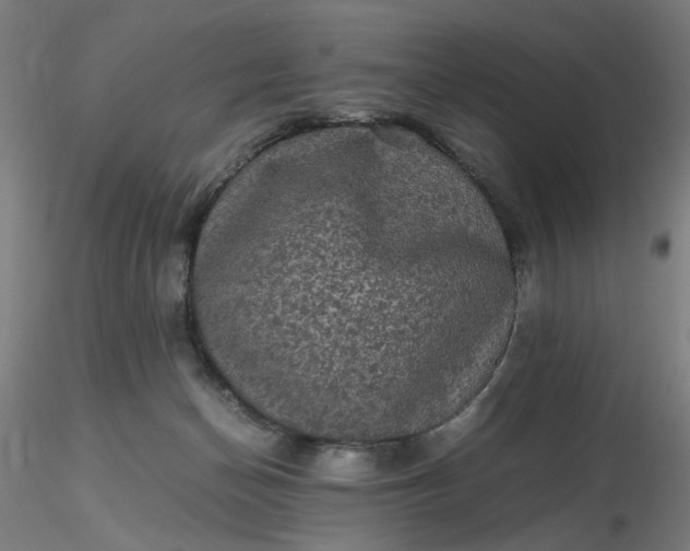 X0000116480174200912231138