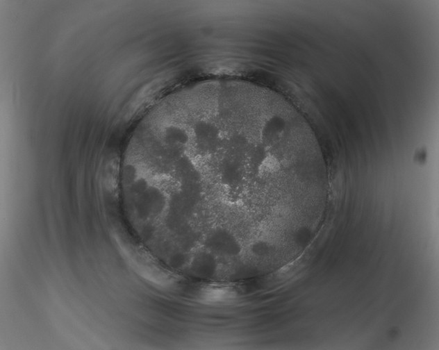 X0000116480175200912231138