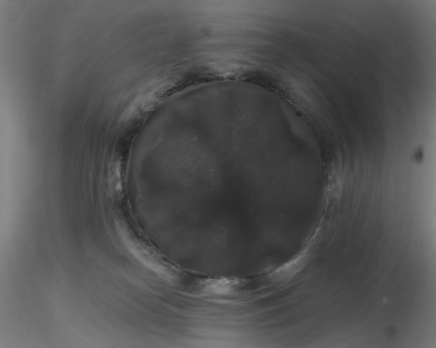 X0000116480182200912231138