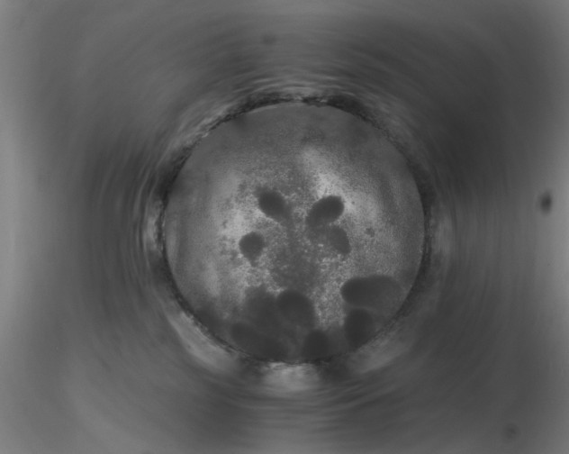 X0000116480185200912231138