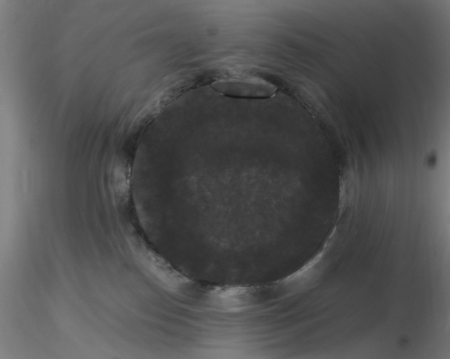 X0000116480186200912231138