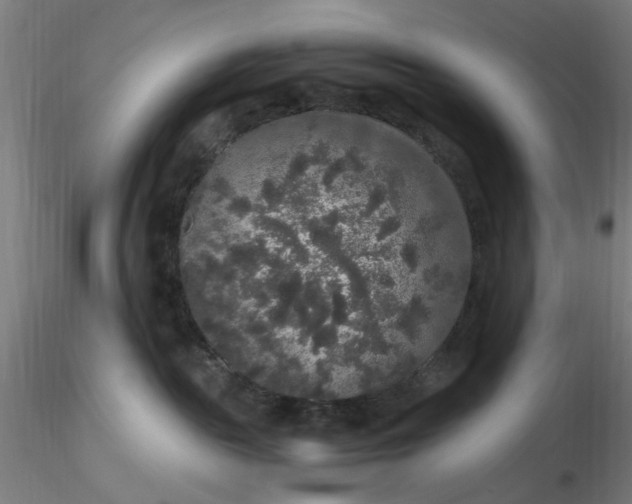 X0000116480189200912231138