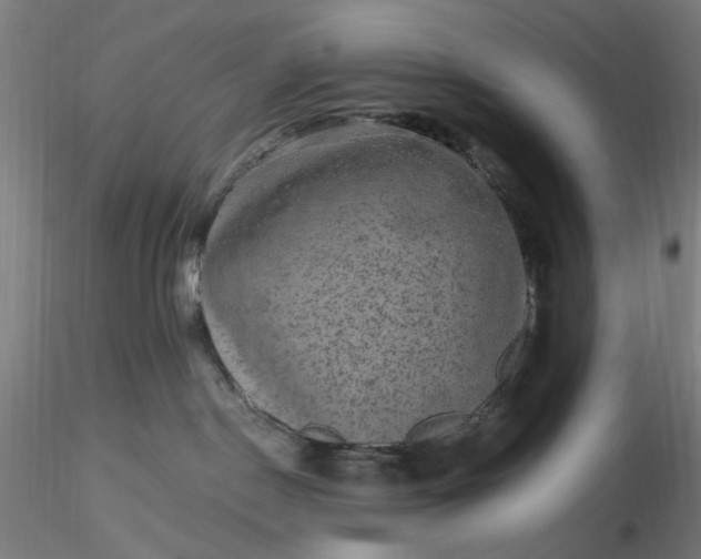 X0000116480190200912231138