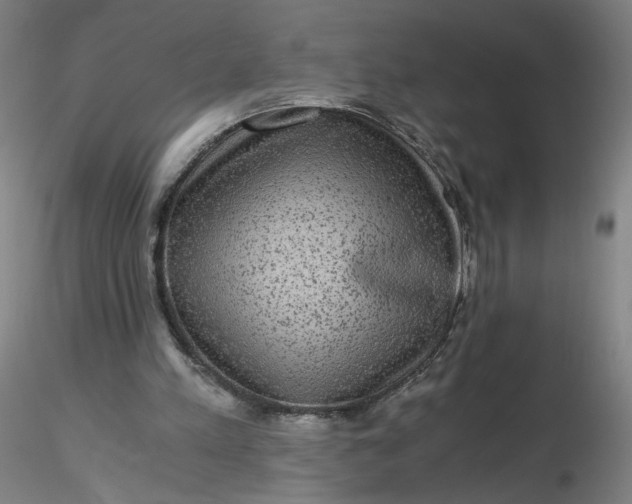 X0000116480197200912231137