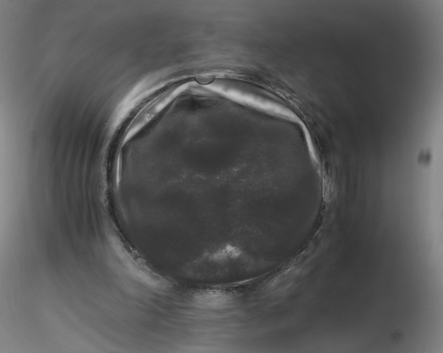 X0000116480198200912231137