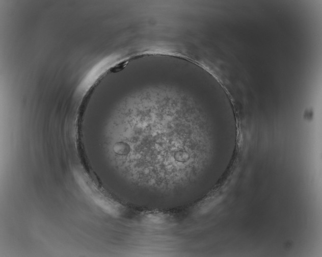 X0000116480199200912231137