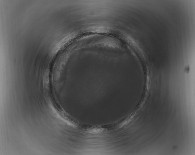 X0000116480202200912231137