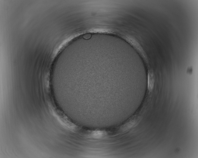 X0000116480204200912231137