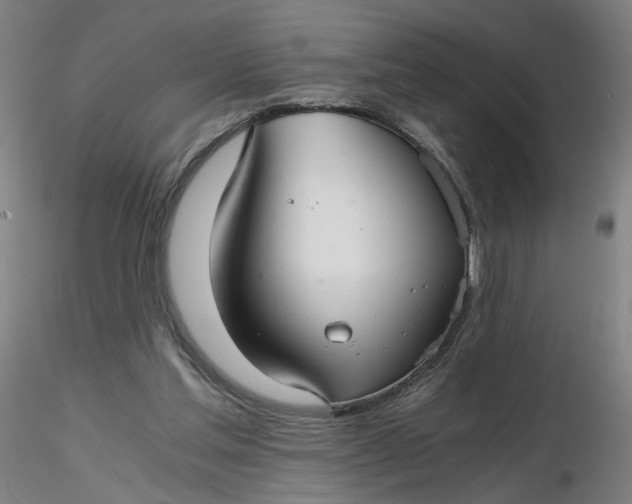 X0000116480205200912231137