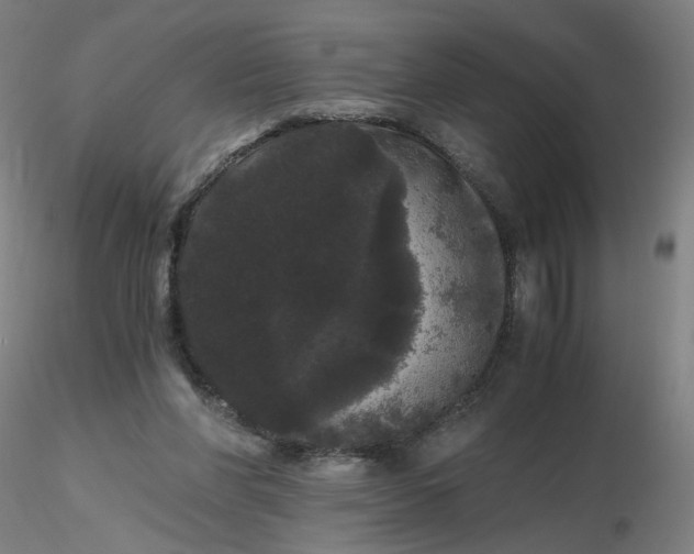 X0000116480206200912231137