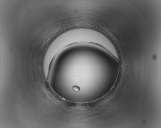 X0000116480209200912231137