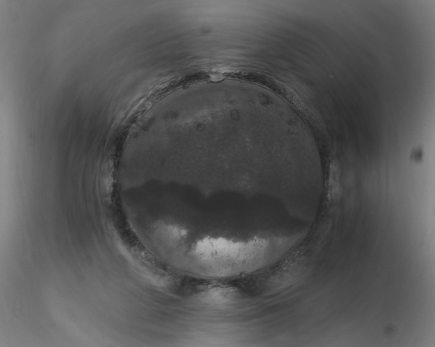 X0000116480210200912231137