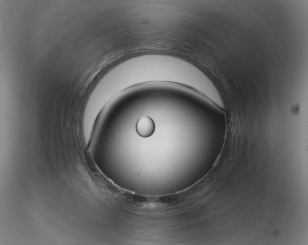 X0000116480212200912231137