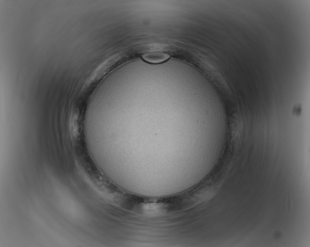 X0000116480216200912231137