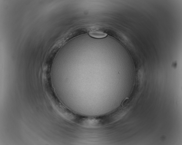 X0000116480217200912231137