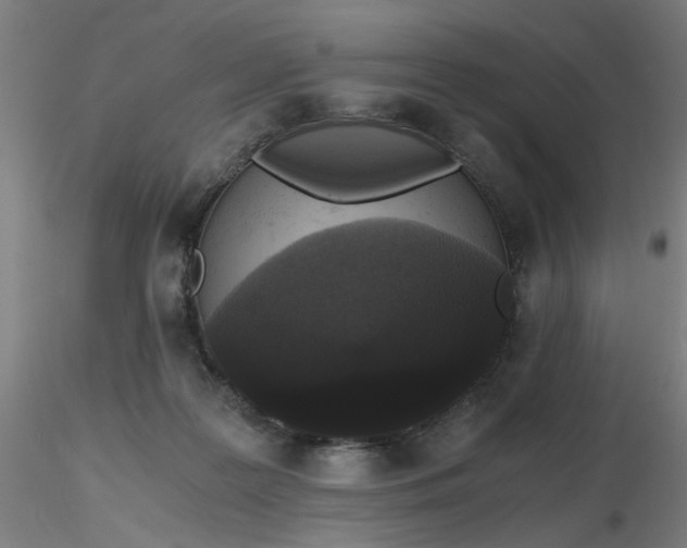 X0000116480219200912231137