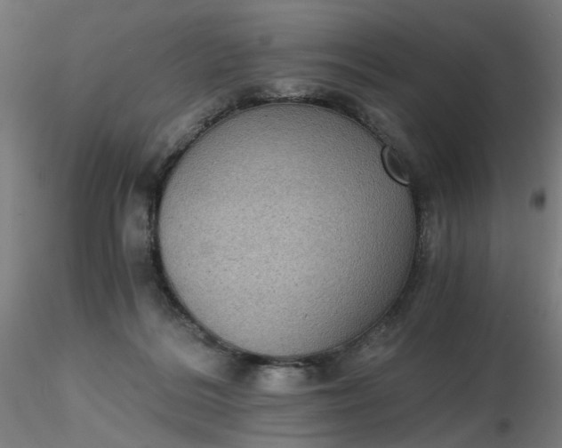 X0000116480220200912231137