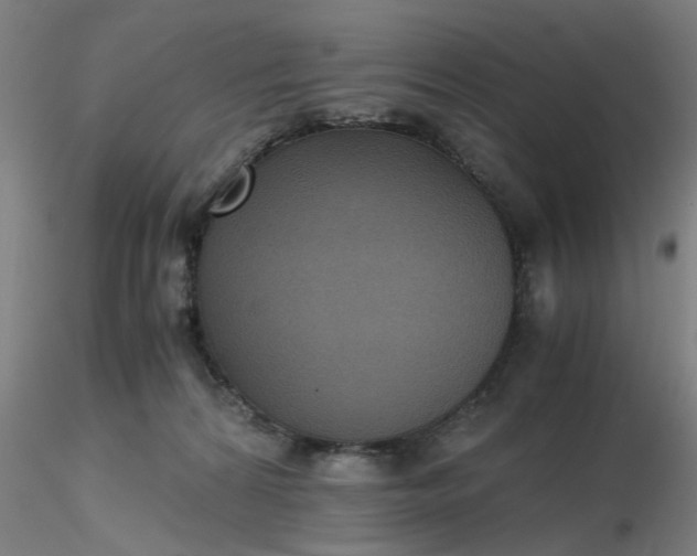 X0000116480224200912231137